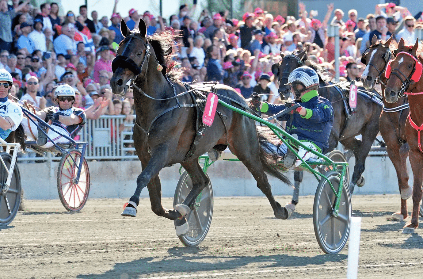 Elitloppet: Nytt omsättningsrekord för ATG » The Gambler ...